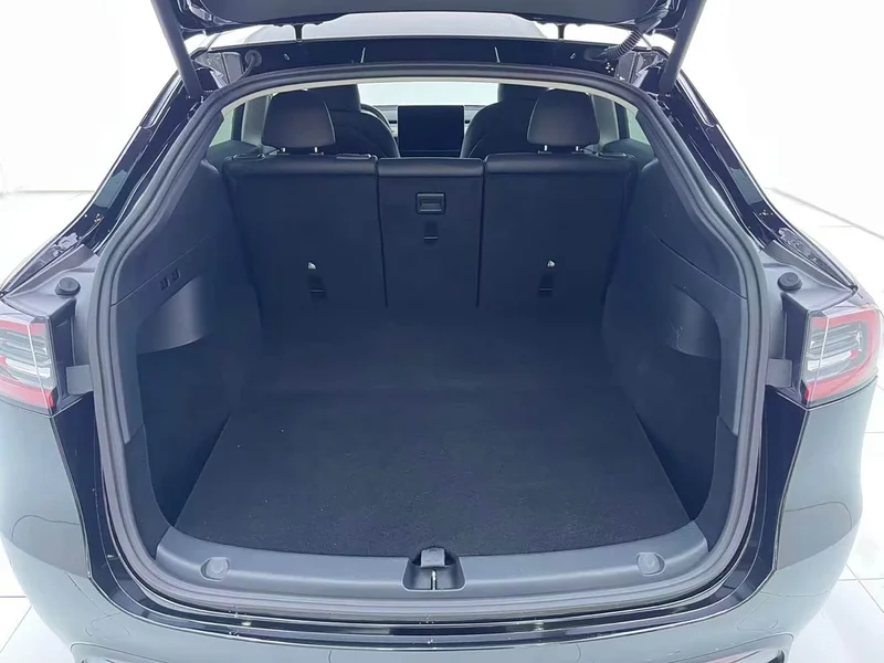 Tesla Model Y — фото 18
