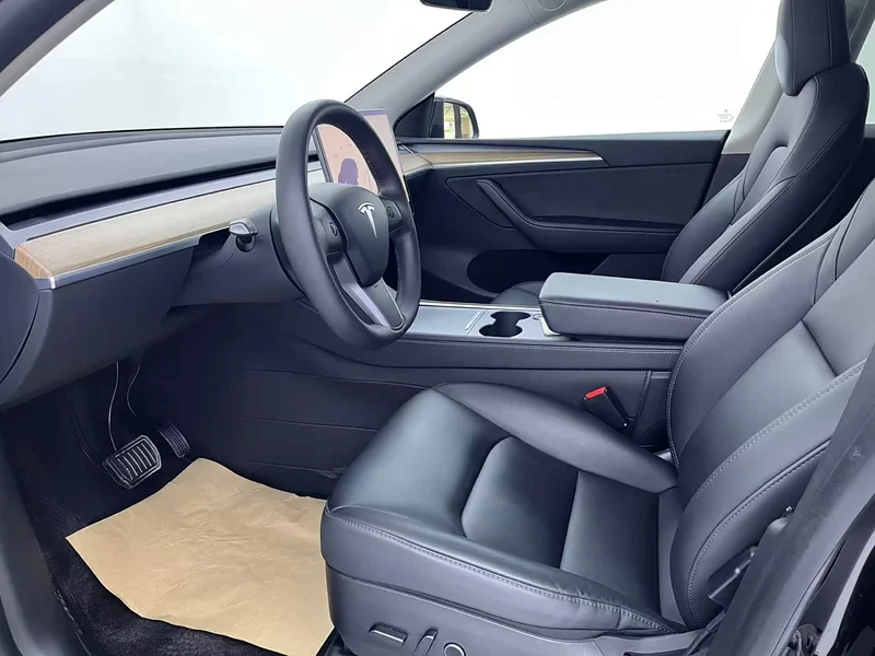 Tesla Model Y — фото 20