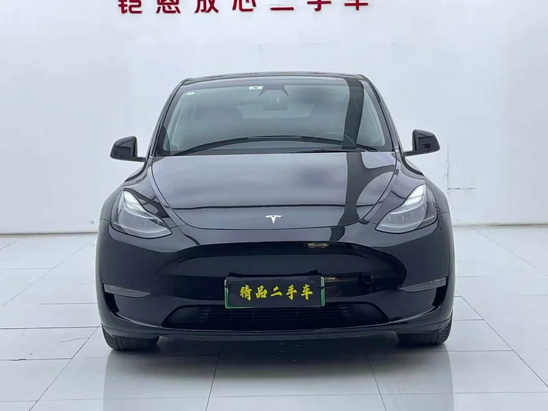 Tesla Model Y — фото 2