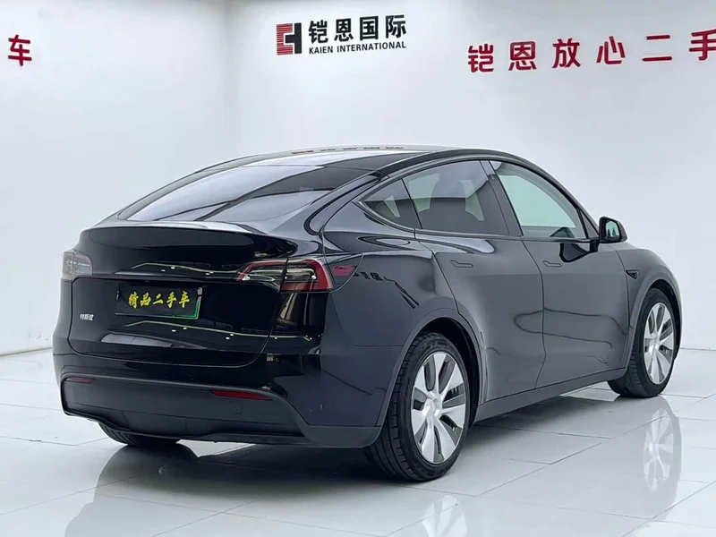 Tesla Model Y — фото 21