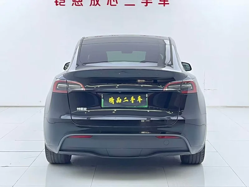 Tesla Model Y — фото 22