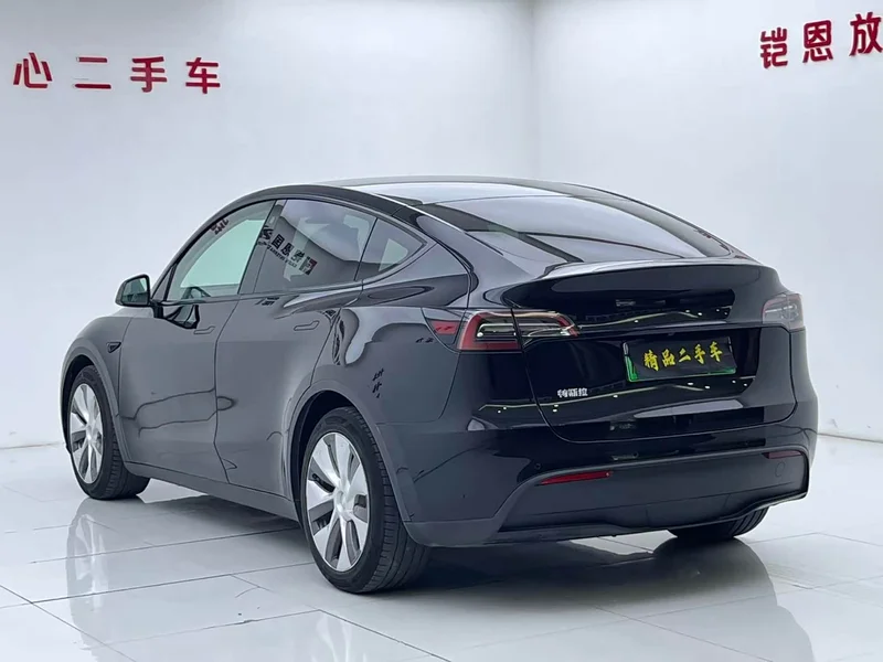 Tesla Model Y — фото 23