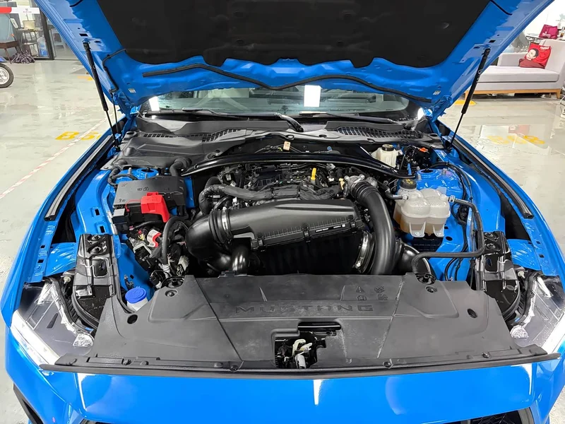 Ford Mustang — фото 8