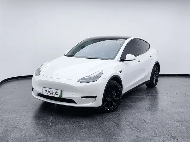 Tesla Model Y — фото 1