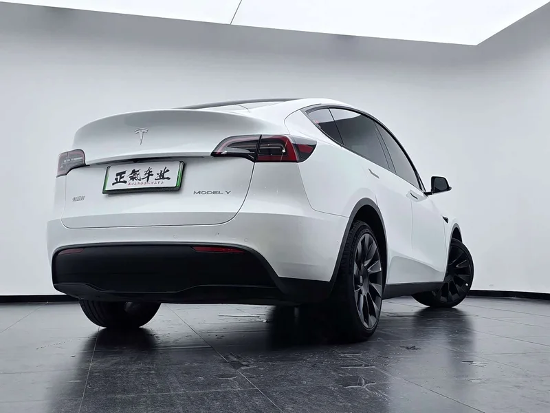 Tesla Model Y — фото 11