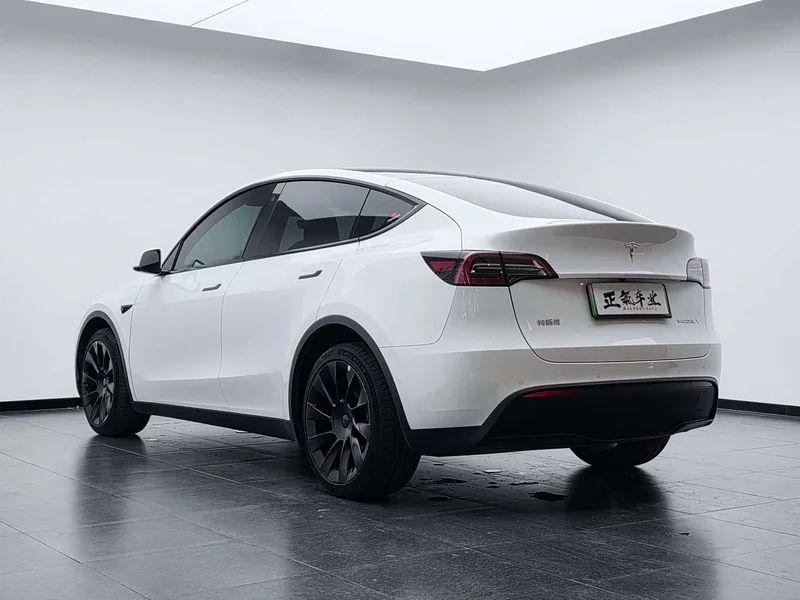 Tesla Model Y — фото 13