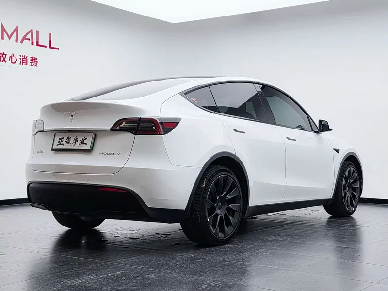 Tesla Model Y — фото 14