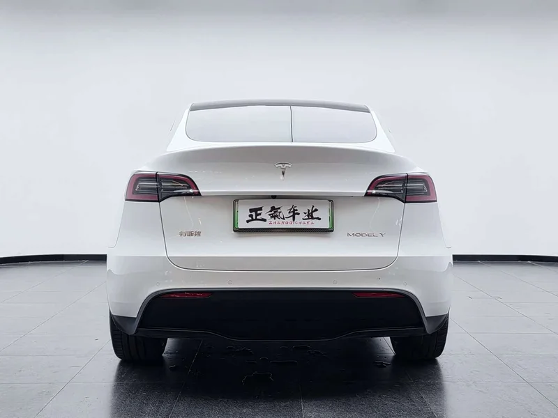 Tesla Model Y — фото 15