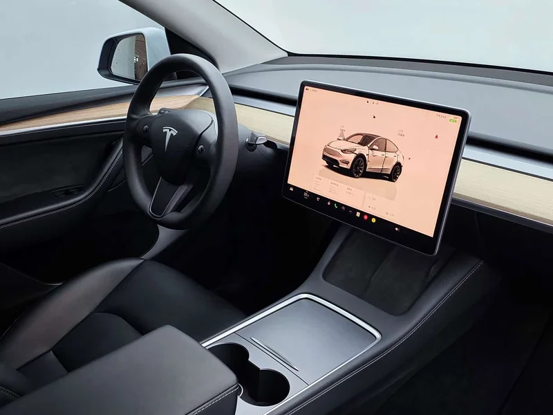 Tesla Model Y — фото 19