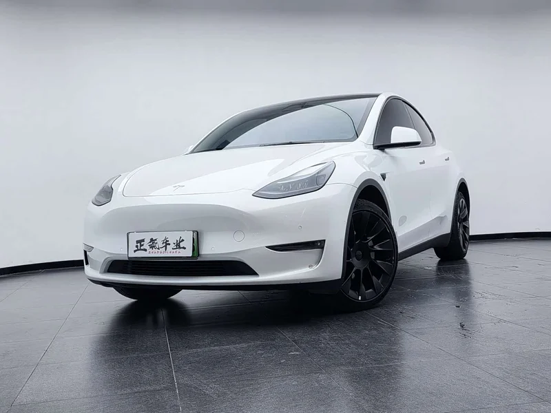 Tesla Model Y — фото 2