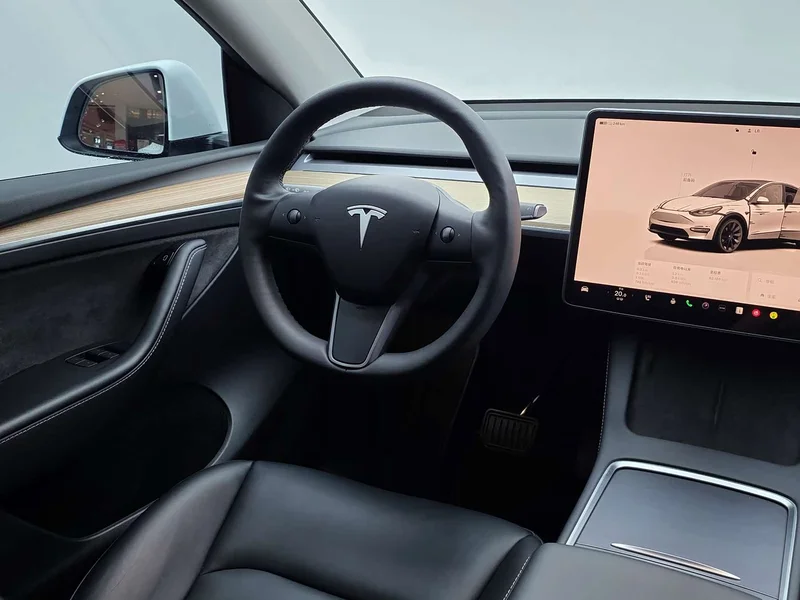 Tesla Model Y — фото 24