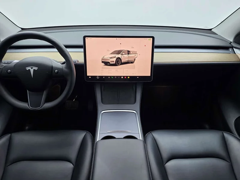 Tesla Model Y — фото 28