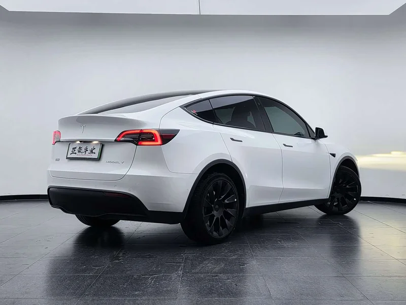 Tesla Model Y — фото 8