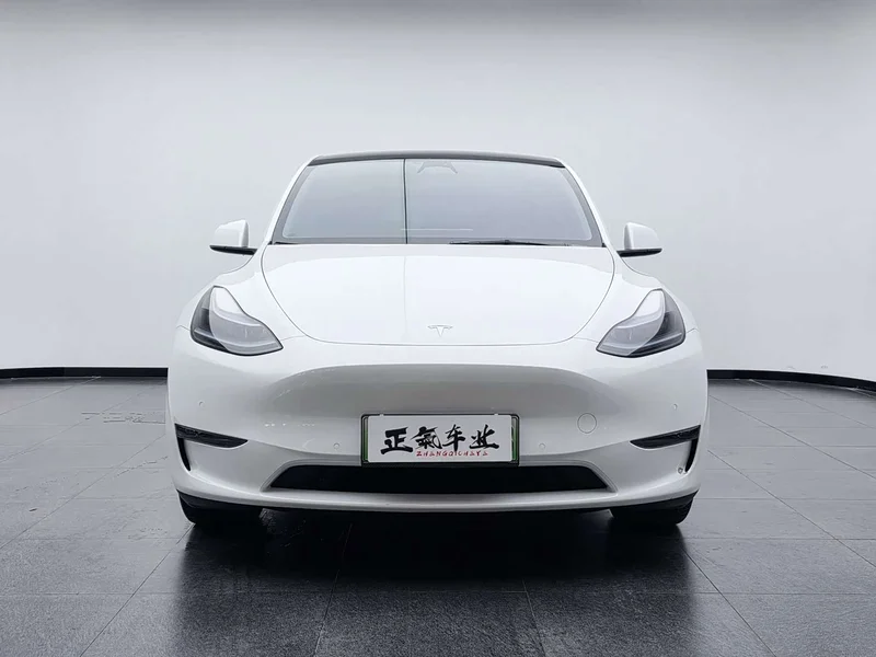 Tesla Model Y — фото 10