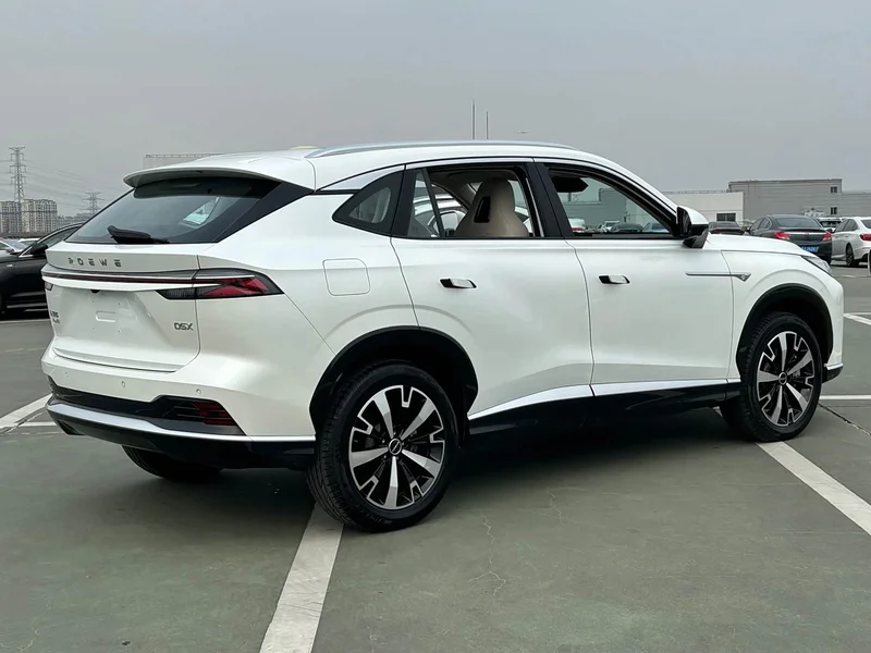 Roewe D5X DMH — фото 6
