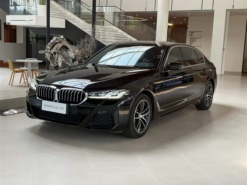 BMW 5 Series New Energy