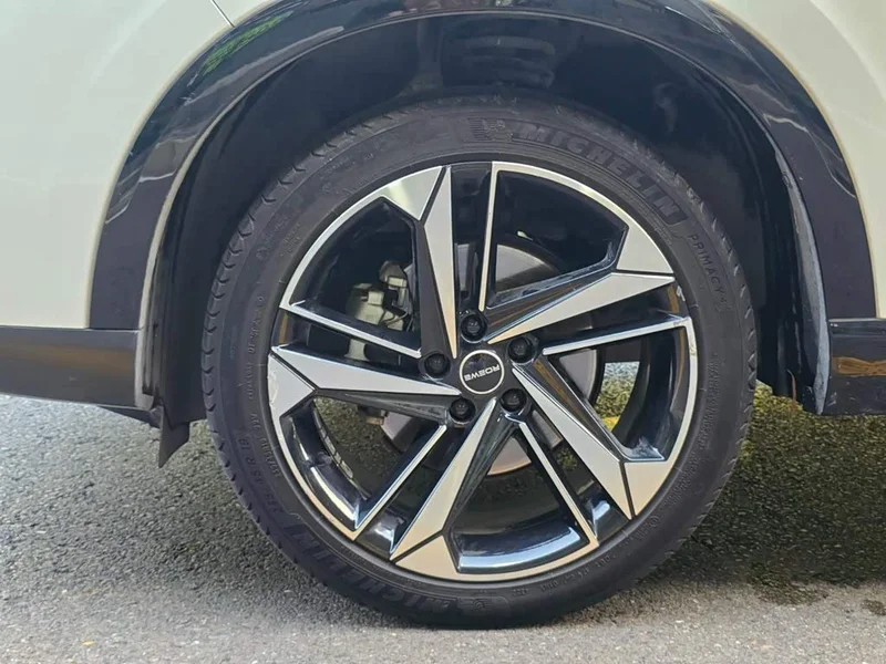 Roewe RX5 MAX — фото 19