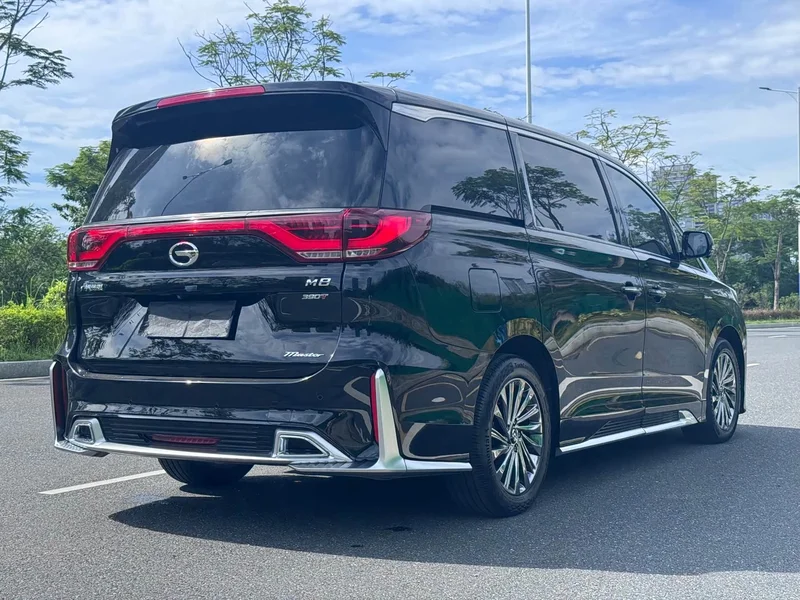 GAC Trumpchi M8 — фото 10