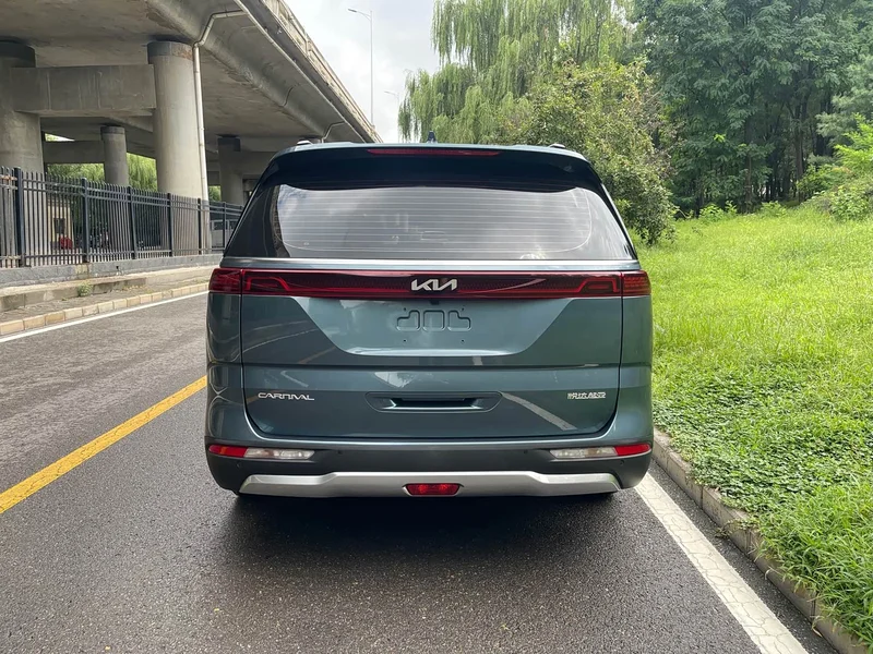 Kia Carnival — фото 13