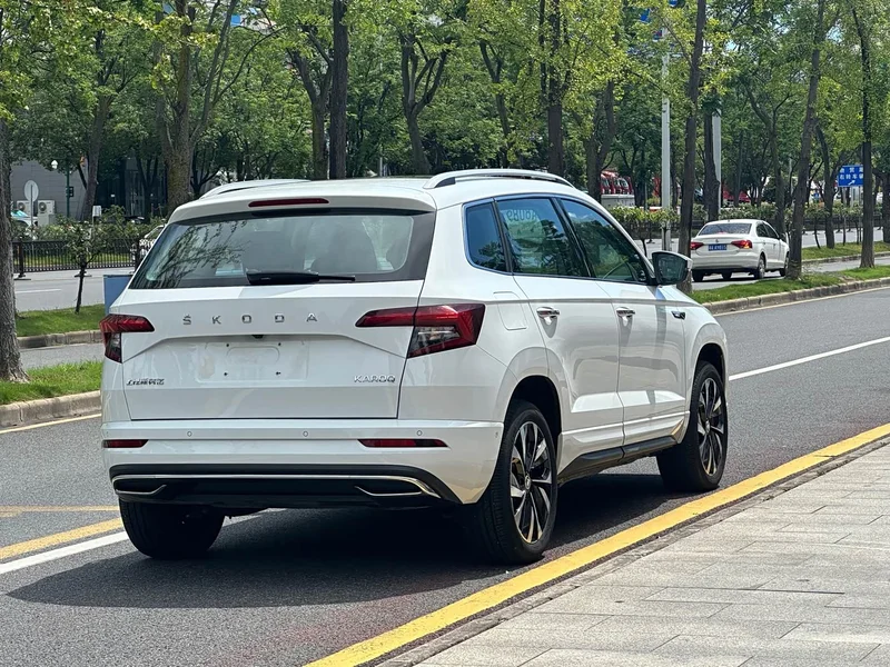 Skoda Karoq — фото 11