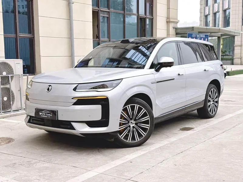 Denza N9