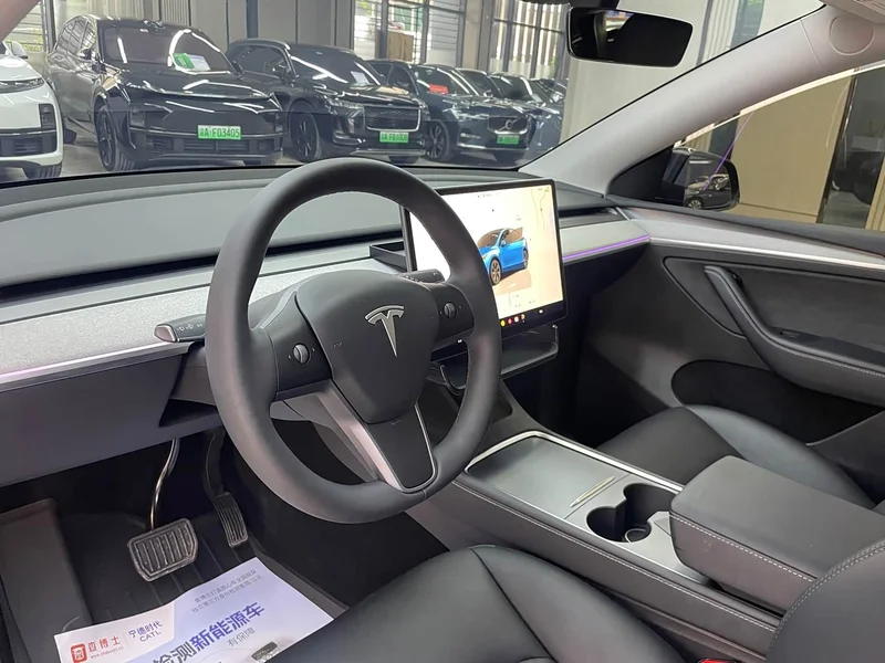 Tesla Model Y — фото 11