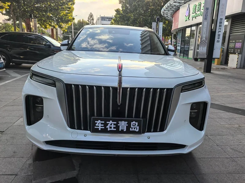 Hongqi E-HS9 — фото 14