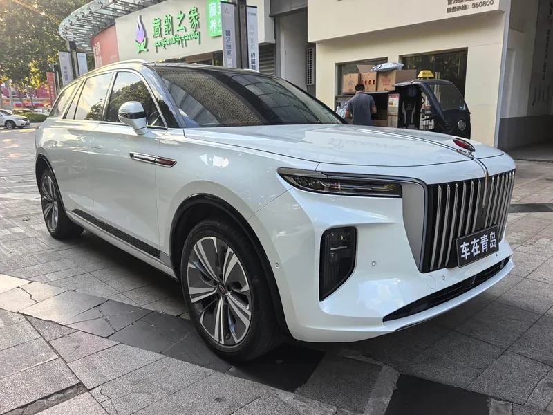 Hongqi E-HS9 — фото 15