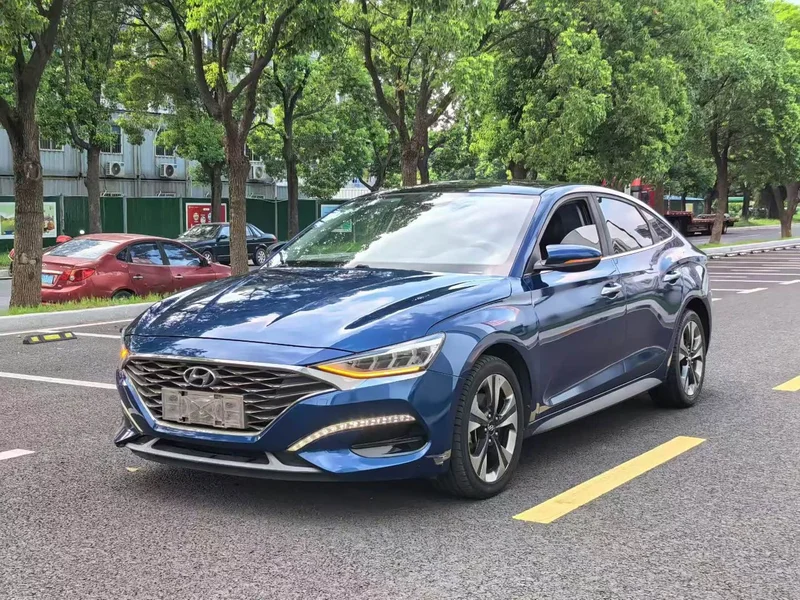 Hyundai Fista — фото 1