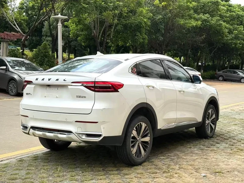 Haval F7x — фото 9