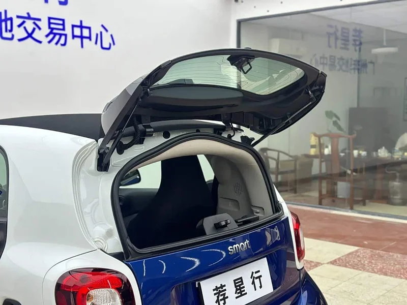 Smart Fortwo — фото 22