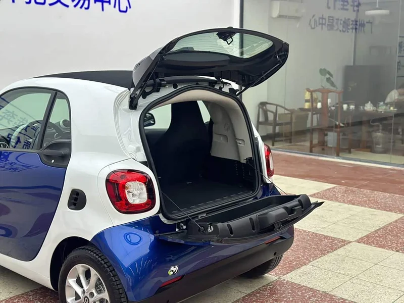 Smart Fortwo — фото 24