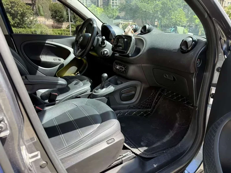 Smart Forfour — фото 14