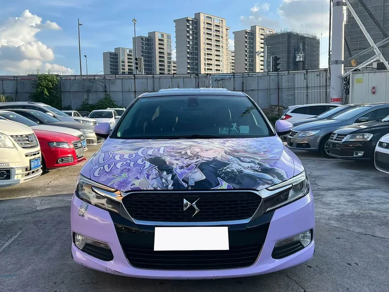 DS 5LS — фото 2
