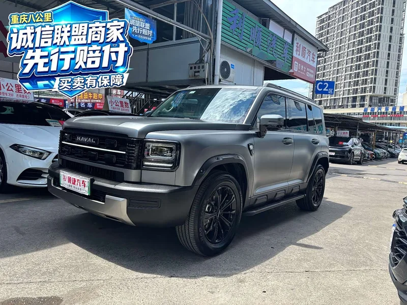 Haval Menglong New Energy — фото 1
