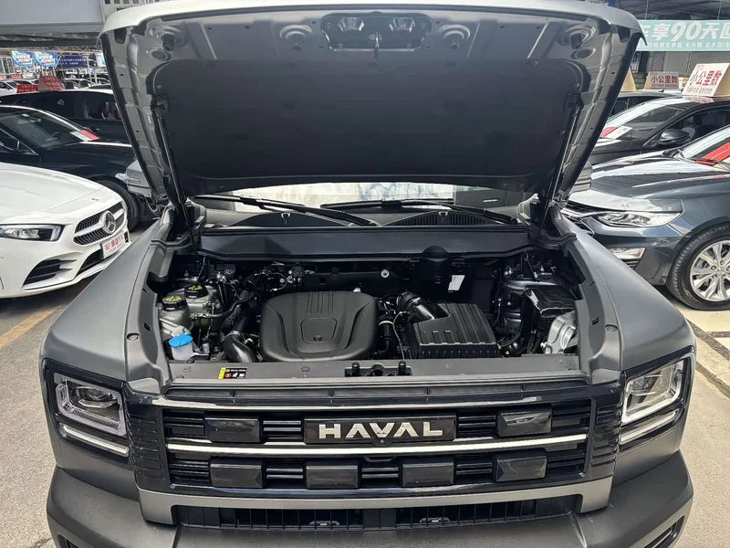 Haval Menglong New Energy — фото 20