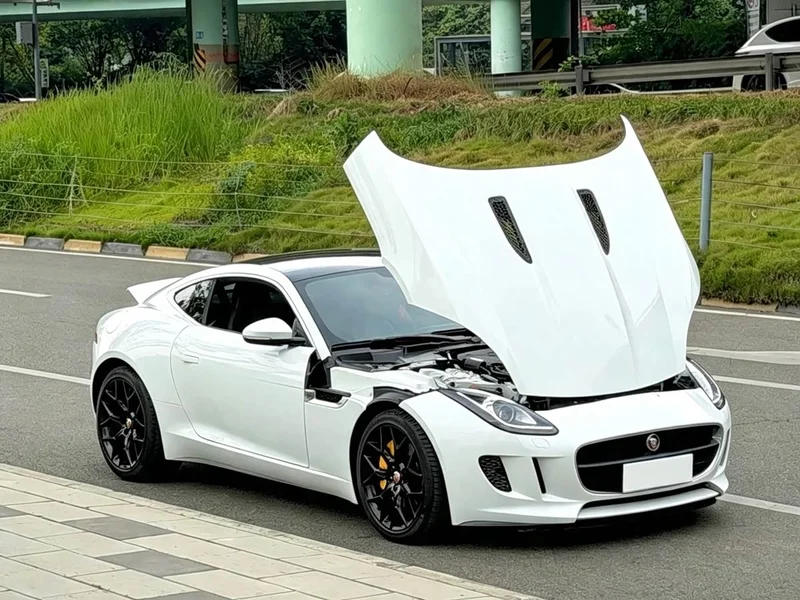 Jaguar F-TYPE — фото 4