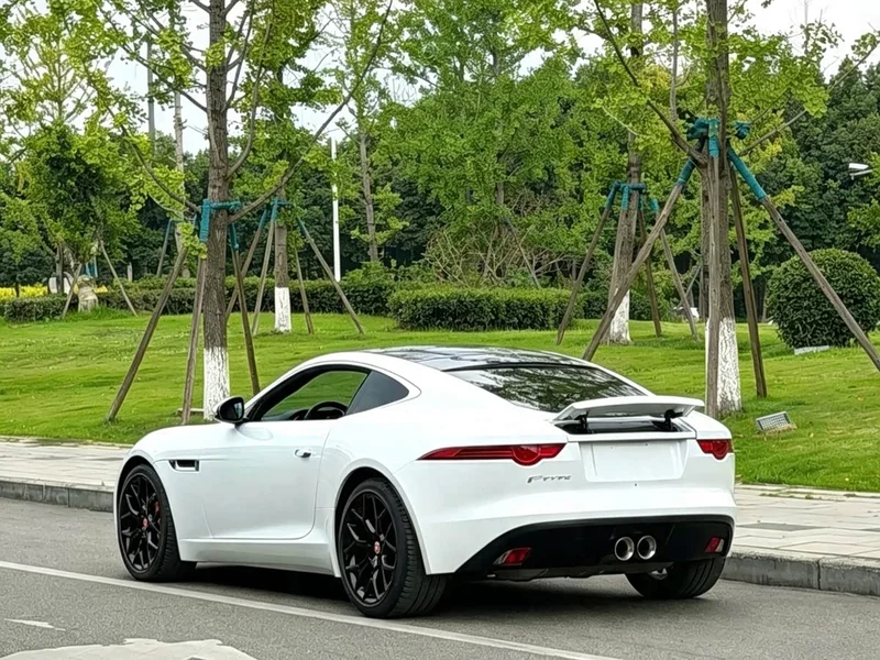 Jaguar F-TYPE — фото 8