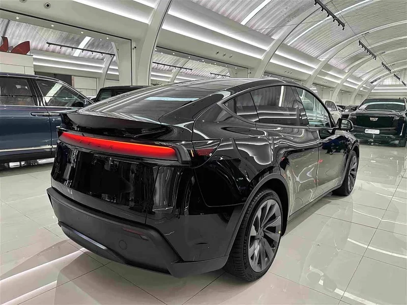 Tesla Model Y — фото 18
