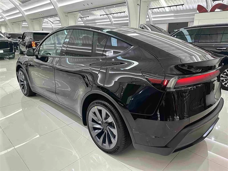 Tesla Model Y — фото 19