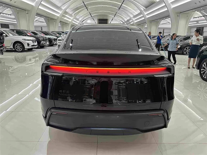 Tesla Model Y — фото 20
