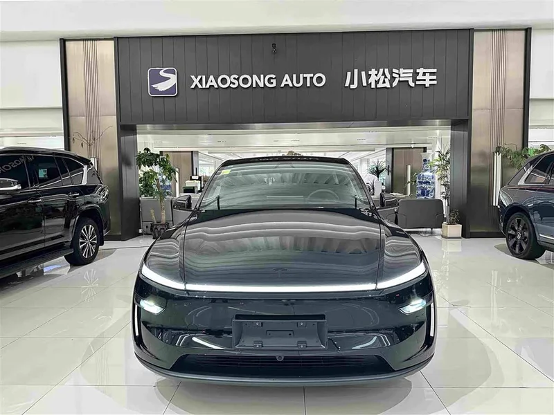 Tesla Model Y — фото 2
