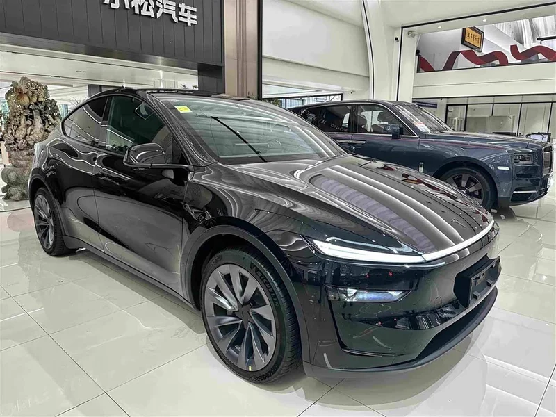 Tesla Model Y — фото 3