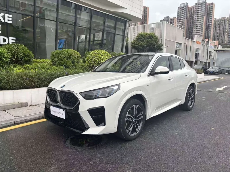 BMW X2 — фото 1