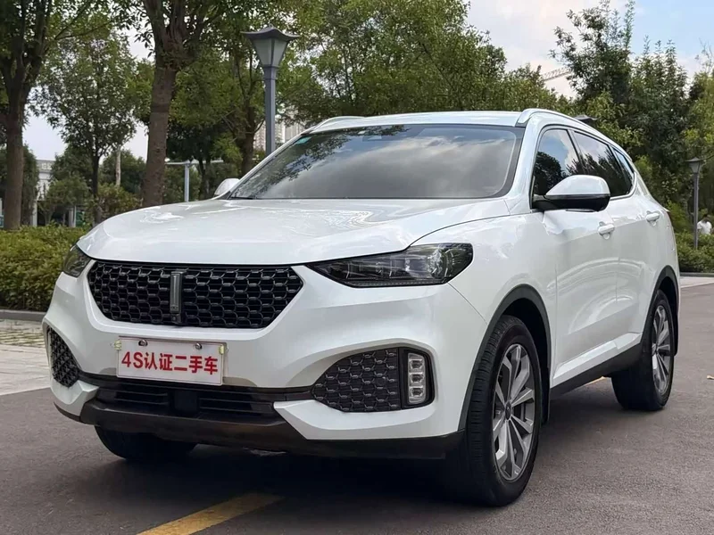 Wey VV6