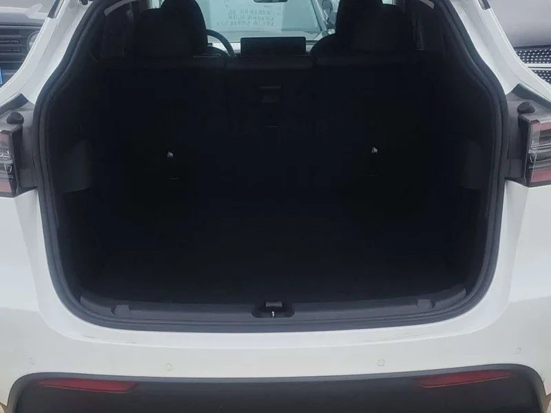 Tesla Model Y — фото 16