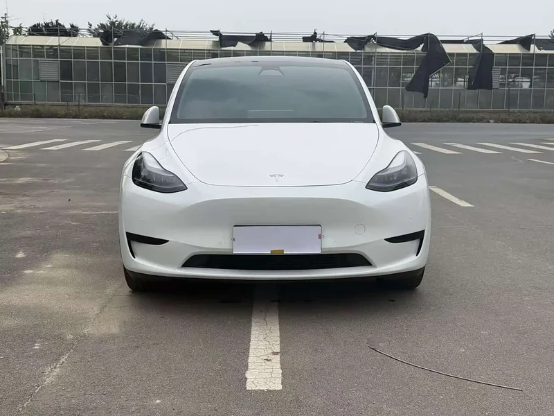 Tesla Model Y — фото 2