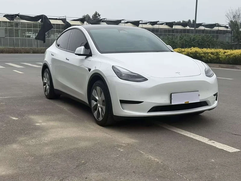 Tesla Model Y — фото 3