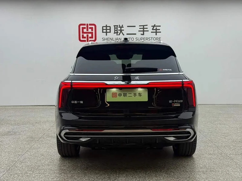 Hongqi E-HS9 — фото 4