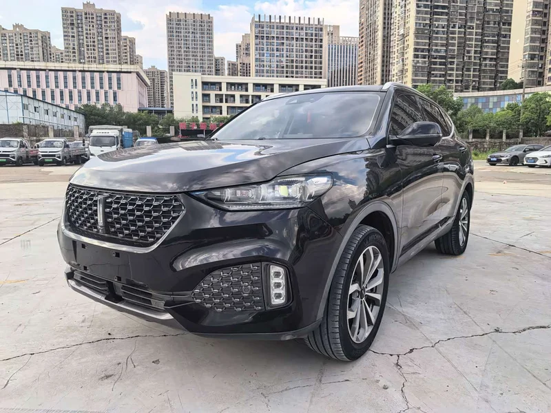 Wey VV6